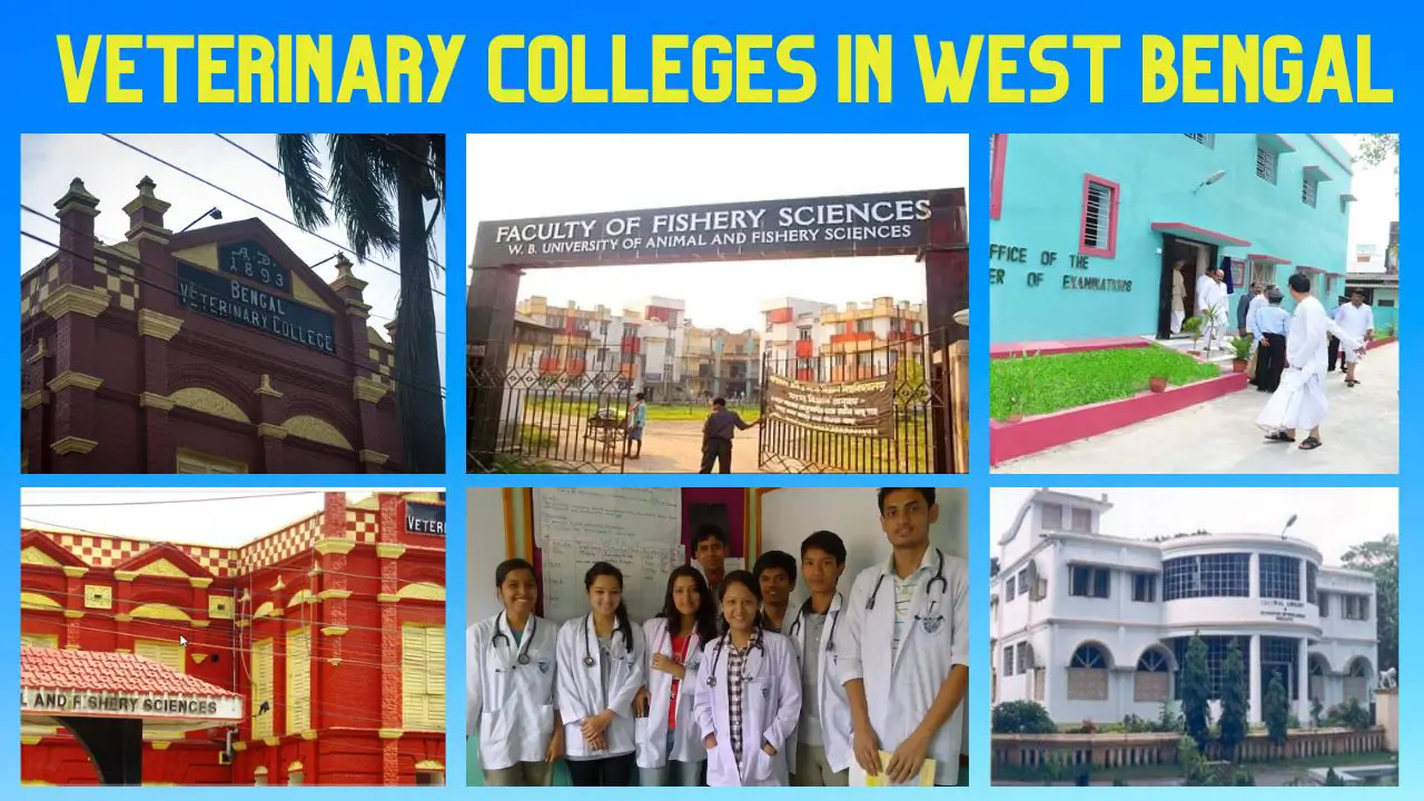 Veterinary Colleges In West Bengal: List Of All Colleges! 